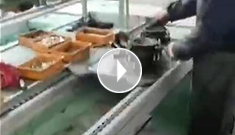 辰力手拉葫蘆車間，手拉葫蘆流水作業(yè)中